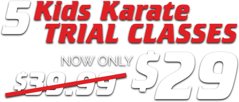 5 Kids Karate Trial Classes. Now only $29